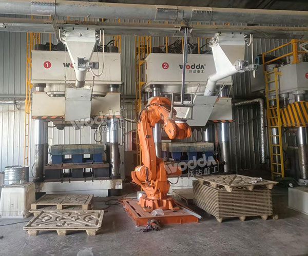 木屑托盤(pán)生產(chǎn)線現(xiàn)場(chǎng)